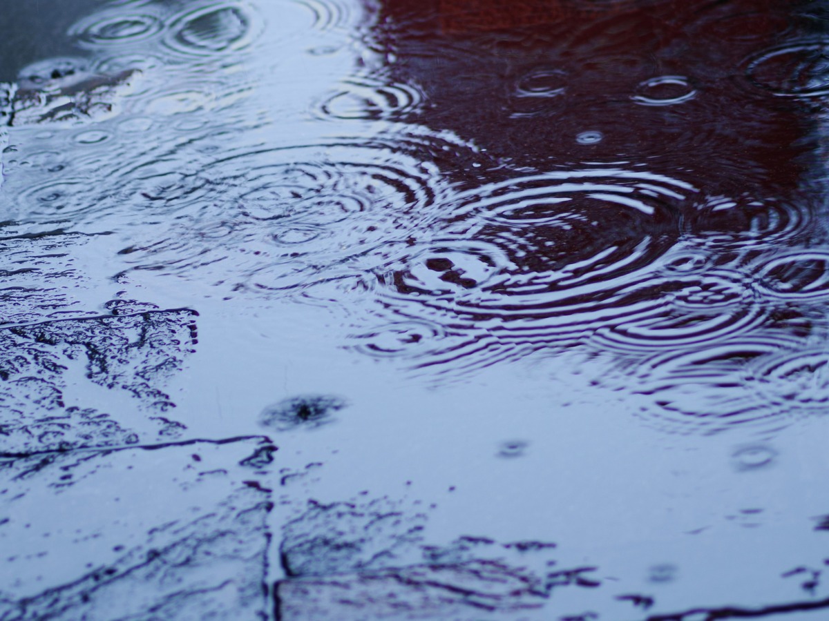 Puddle on a wet pavement with concentric ripples from falling raindrops on a blue-toned surface